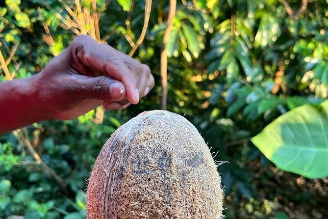 Organic cooking class sigiriya (kumara & family) - Value check: is $28 worth it?