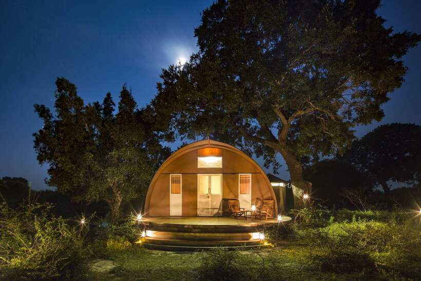 Overnight Treehouse Safari at Yala National Park - Dinner and campfire drinks, where the night actually feels different