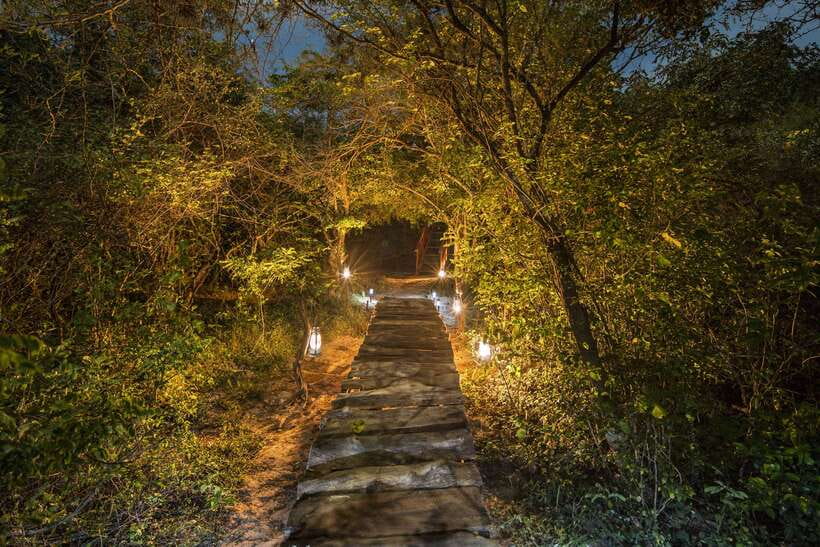 Overnight Treehouse Safari at Yala National Park - The overnight treehouse at Leopard Nest: comfort, privacy, and one important warning
