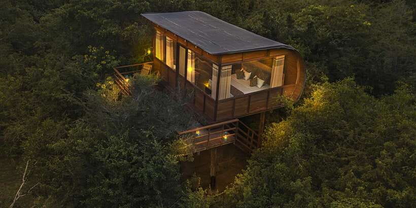 Overnight Treehouse Safari at Yala National Park - Day 2: dawn tea, a guided nature trek, and breakfast by the lake