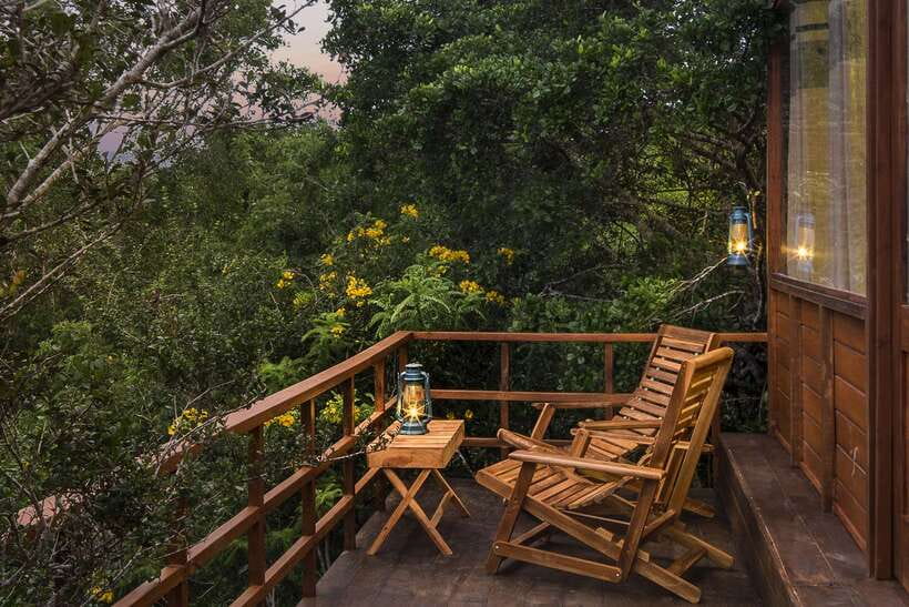 Overnight Treehouse Safari at Yala National Park - What to bring for Yala: simple items that actually help