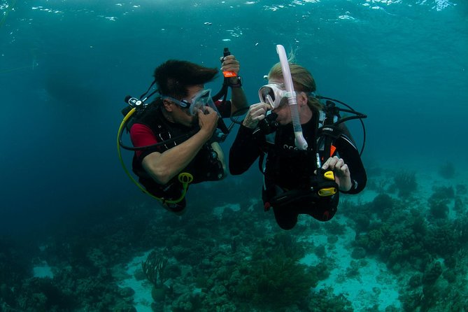 PADI Scuba Diver Course - Key highlights you should know before you go