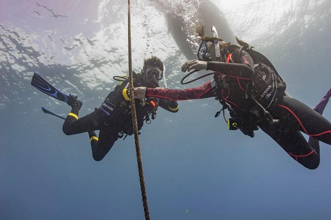 PADI Scuba Diver Course - Why this PADI Scuba Diver course is a smart first certification