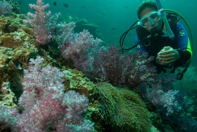 PADI Scuba Diver Course - Half-day theory, what you learn before you go underwater