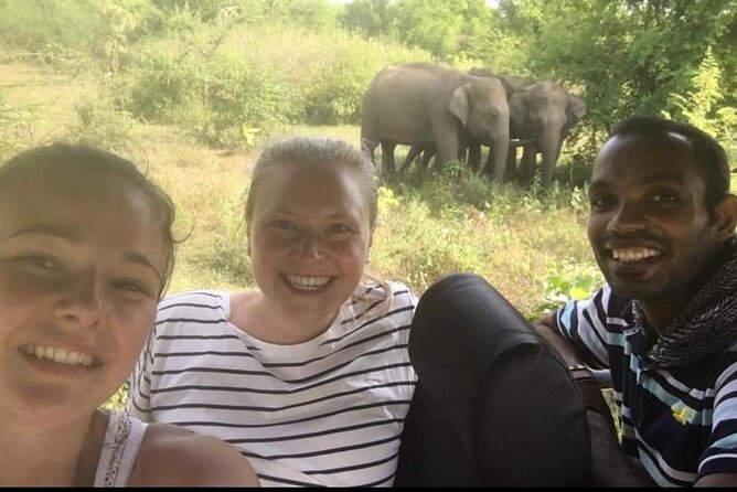 Paradise Udawalawe Safari Tours - Tangalle to Udawalawe in about 7 Hours: Why This Half-Day Works