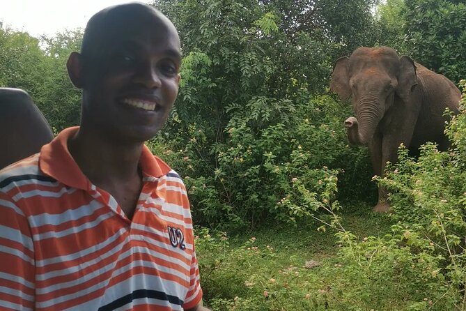 Paradise Udawalawe Safari Tours - The Safari Jeep Circuit in Udawalawe: Elephants, Crocs, and Other Chances