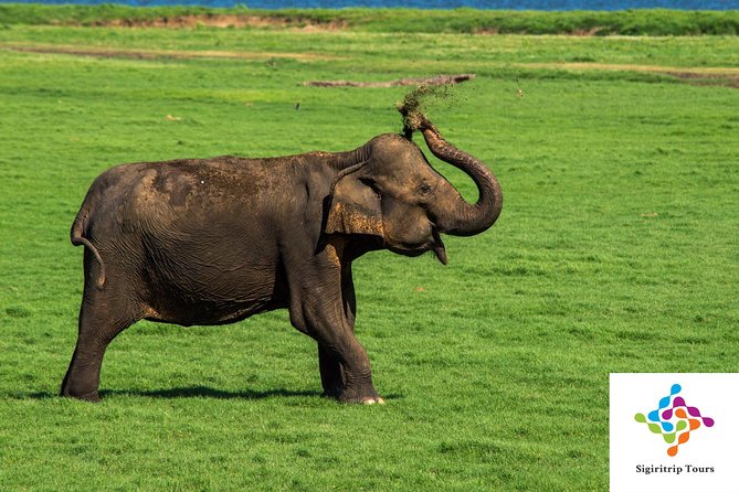 Personal Driver For Your Two Weeks Round Tour In Sri Lanka - Price and logistics, what the $1,500 per group really means