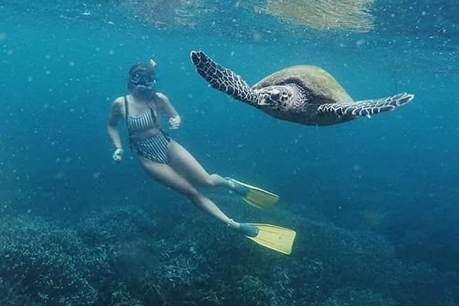 Pigeon Island Snorkeling – Swim with Sharks & Turtles - The Boat Experience: Clean Setup, Safety Equipment, and Expert Skippers