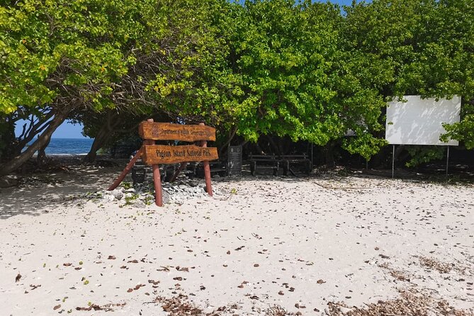 Pigeon Island Snorkeling – Swim with Sharks & Turtles - Who This Trip Suits Best