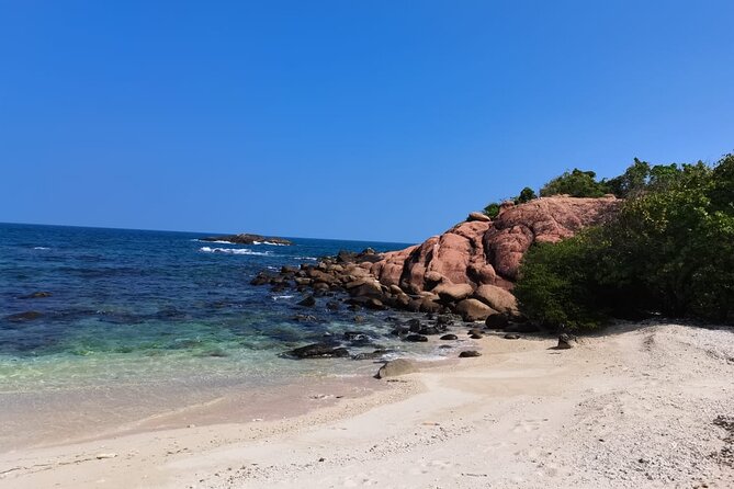 Pigeon Island Snorkeling – Swim with Sharks & Turtles - Snorkeling at Pigeon Island National Park: Reefs, Corals, and Fish You Can Spot