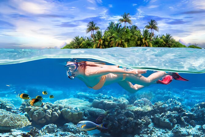 Pigeon Island Snorkeling Tour From Uppuveli Beach - Key things to know before you go