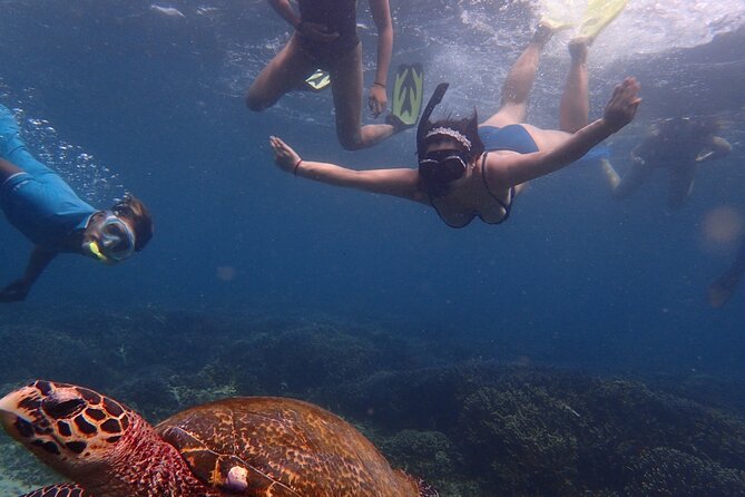 Pigeon Island Snorkeling Tour From Uppuveli Beach - The beach and time on shore: a softer landing after snorkeling