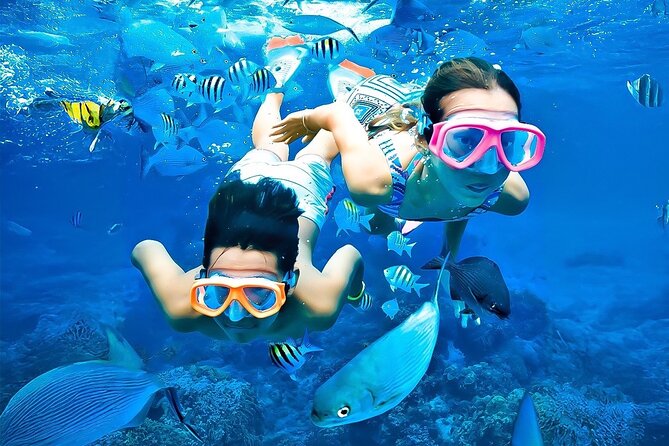 Pigeon Island Snorkeling Tour From Uppuveli Beach - Meeting point and timing: the 8:30 am plan works