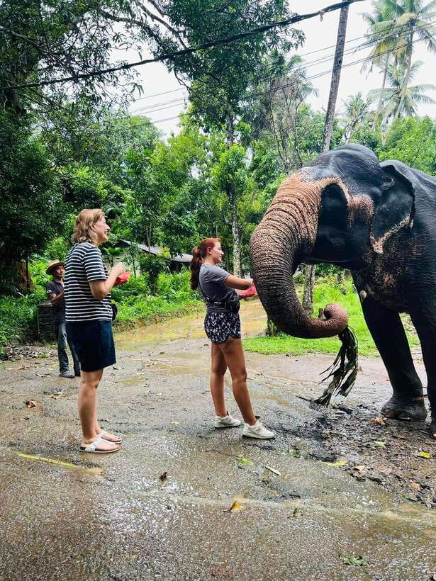 Pinnawala Day Tour from Kandy (Private tour ) - Who Should Book This Private Pinnawala Day Tour