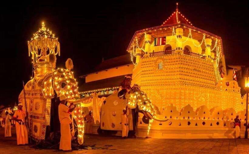 Pinnawala,Kandy Day Tour from Colombo/Negombo - Door-to-door logistics: the early start and why it matters