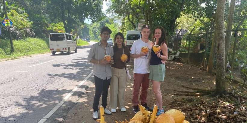 Pinnawala,Kandy Day Tour from Colombo/Negombo - Price and value: what $62 buys you in practice