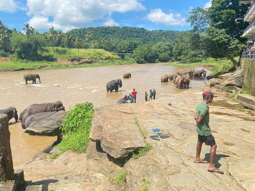 Pinnawala,Kandy Day Tour from Colombo/Negombo - Who this tour is best for, and who should skip it