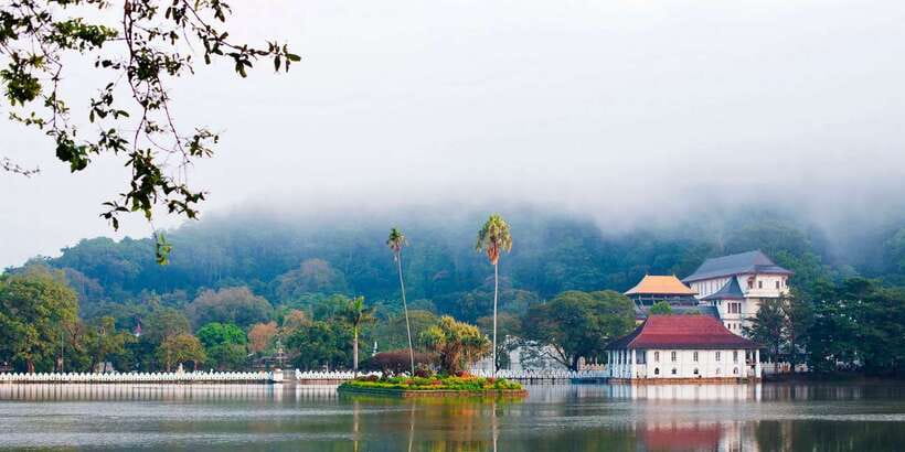 Pinnawala & Kandy Day Tour from Negombo - A Kandy day built around the Sacred Tooth, tea, and gardens