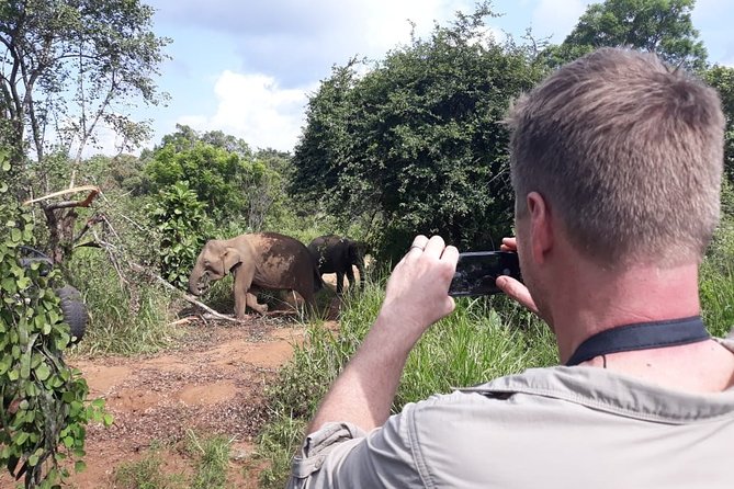 Polonnaruwa Day Tour with Lunch by Mahaweli - Minneriya National Park Optional Time for Elephant Chances