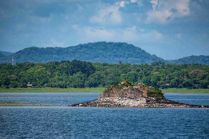 Polonnaruwa Day Tour with Lunch by Mahaweli - Your Route Through Vatadage and Gal Vihara