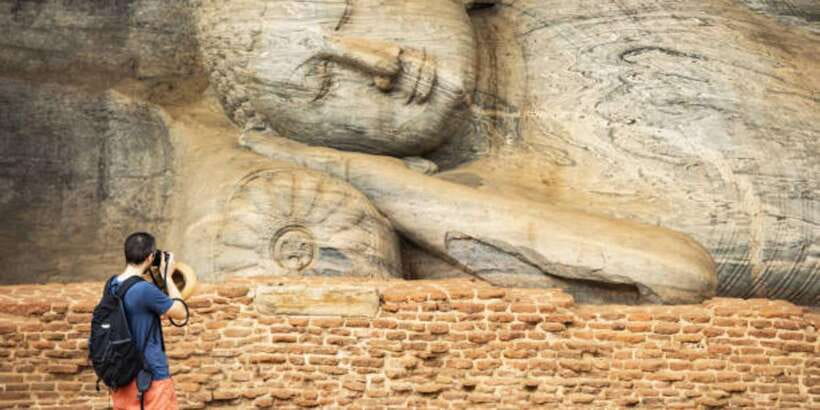 Polonnaruwa Day Tour With Minneriya NP Elephant Safari - Minneriya in a Private 4x4: Elephant Sightings and What Your Guide Does
