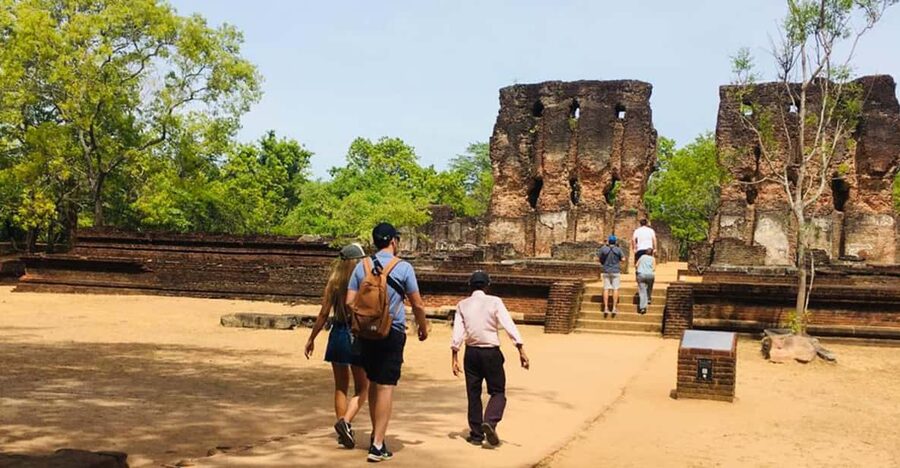 Polonnaruwa Sight Seeing Tour and Minneriya Elephant Safari - Price and value, what $59 covers and what you should add