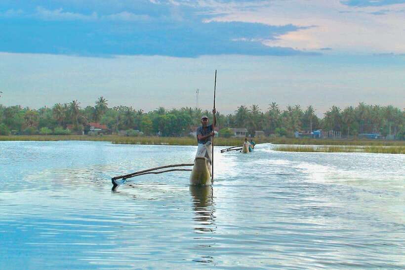 Pottuvil Lagoon Eco Tour : Mangrove Adventure in Arugam Bay - Wildlife spotting: elephants, crocodiles, and the birds to watch for