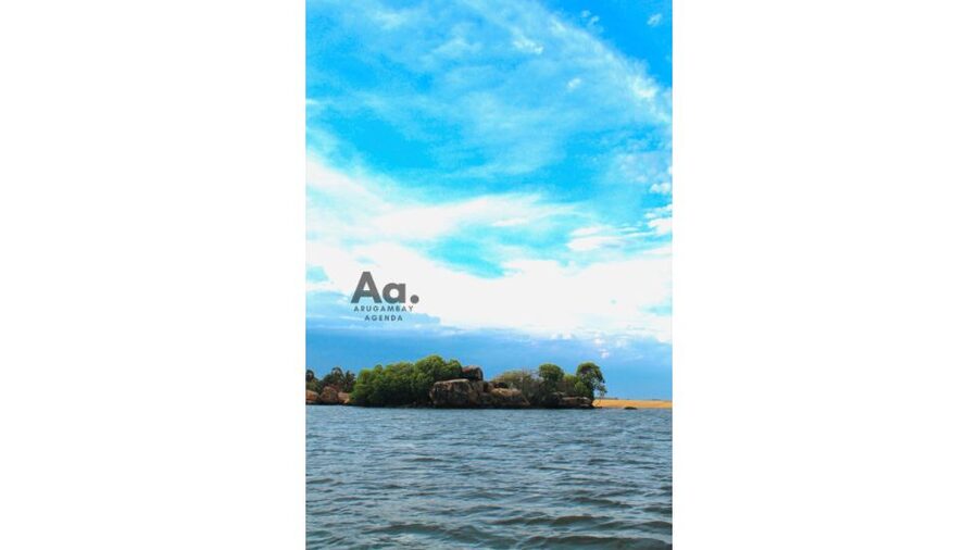 Pottuvil Lagoon Eco Tour : Mangrove Adventure in Arugam Bay - The king coconut stop: a small break that actually helps