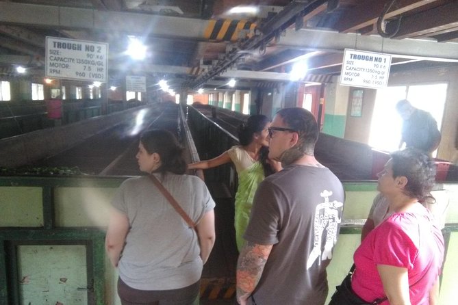 Private all inclusive Day tour Kandy, Pinnawala, & your own selected attractions - Price and value: what $97 covers, and what you should still plan