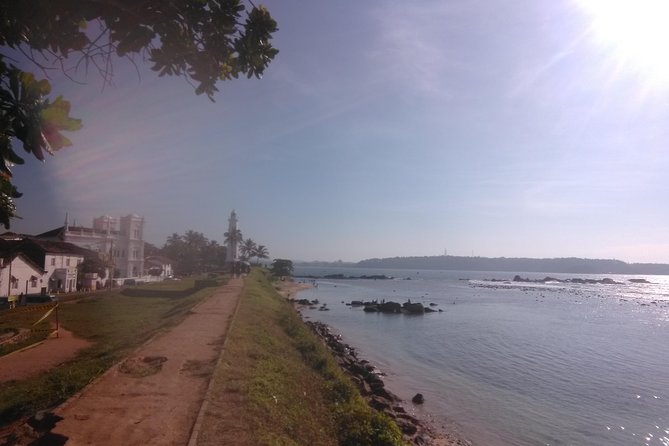 Private all inclusive Day tour southern Sri Lanka Bentota and Galle - Kosgoda Sea Turtle Conservation Project: the thrill of turtle hatchery time
