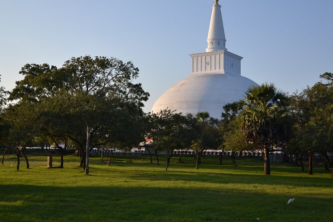 Private City Day Tour in Anuradhapura - Jaya Sri Maha Bodhi, where the sacred fig anchors the visit