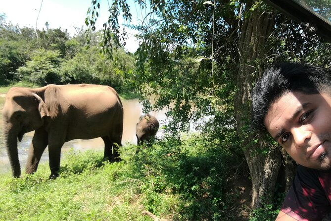 Private Dambulla Sigiriya Tour from Kandy with friendly chauffeur - Ranweli Spice Garden: a short guided hit of Sri Lankan spices