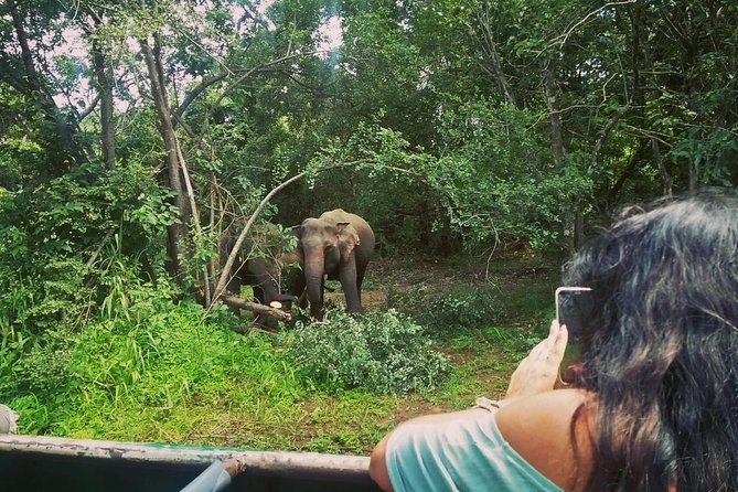 Private Dambulla Sigiriya Tour from Kandy with Lunch - Pickup Timing and the Reality of a Long Day From Kandy