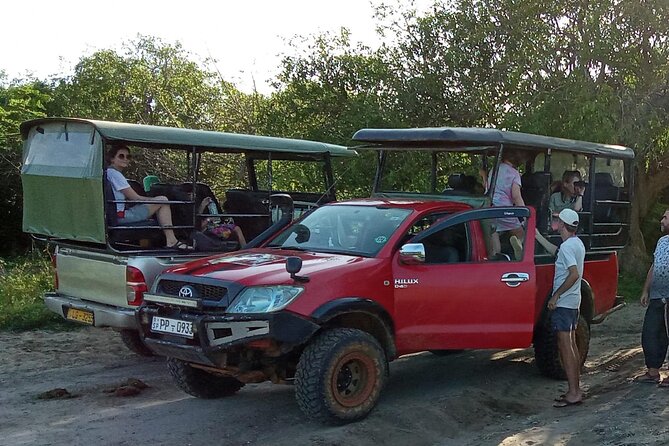 Private Day Tour from Colomb to Yala Safari (Leopard Safari Tour) - A Private Yala Leopard Safari from Colomb: What You’re Really Buying