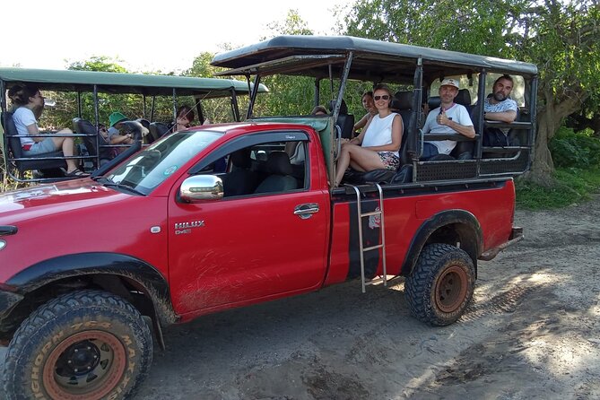 Private Day Tour from Colomb to Yala Safari (Leopard Safari Tour) - Yala National Park Safari Time: How Four Hours Plays in the Wild