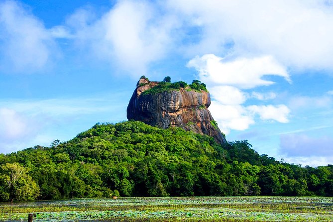 Private Day Tour from Colombo to Sigiriya, Dambulla & Pidurangala - Price and Logistics: How the $71.25 Adds Up