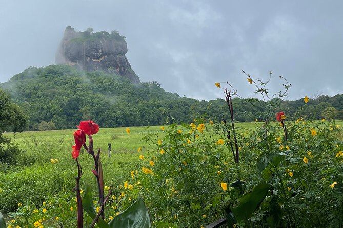Private Full Day Tour Sigiriya and Dambulla From Kandy - Golden Temple of Dambulla: caves, Buddha statues, and 2,100 sqm of murals