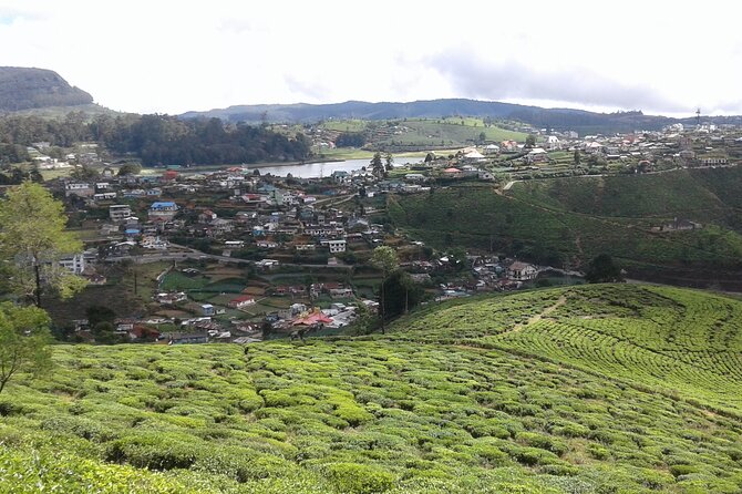 Private Full Day Tour to Nuwara Eliya from Kandy - Should you book this Kandy to Nuwara Eliya private tour?