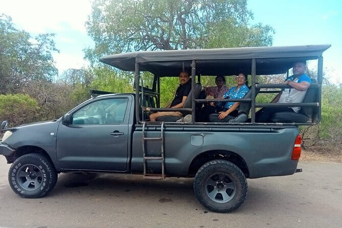 Private Full Day Udawalawe Safari Trip with Lunch - Key Highlights You Should Know