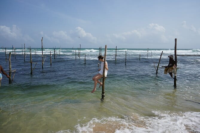 Private Galle Day Tour with River Safari, Stilt fishing & Turtles - Madu River Safari by Buddhi: mangroves, wildlife, and a slower rhythm