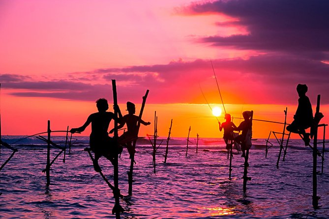 Private Galle Day Trip from Colombo/ Negambo / Bentota - Balapitiya and Maduganga: The Boat Safari With Fish Therapy