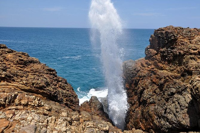 Private Galle Day Trip from Colombo/ Negambo / Bentota - How the Guide Improves the Whole Day
