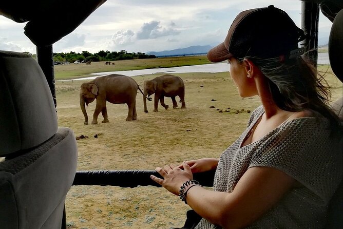 Private Half Day Safari in Udawalawe National Park - Best timing, what early mornings do for you, and what to bring