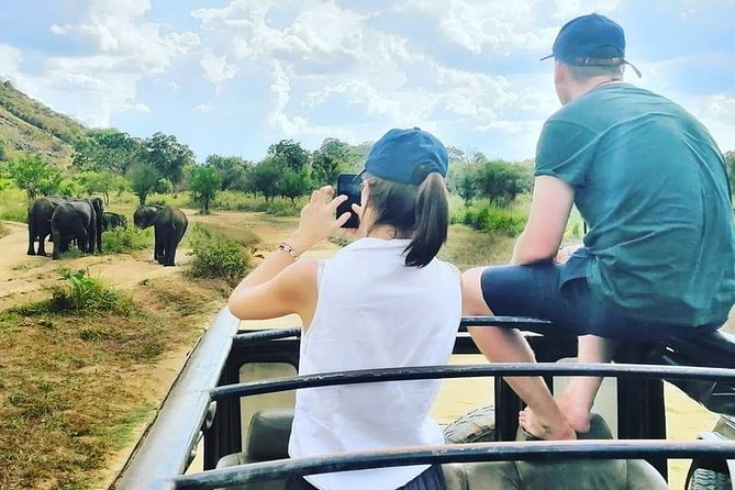 Private Jeep Safari at Minneriya National Park - Price and value: is $40 per person a good deal?