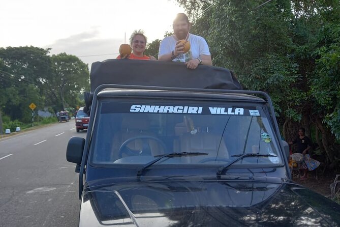 Private Jeep Safari at Minneriya National Park to Visit Elephants - Timing Tips: Morning vs Afternoon for Better Elephant Odds