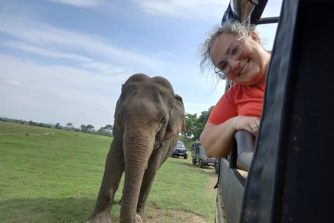 Private Jeep Safari at Minneriya National Park to Visit Elephants - Who This Jeep Safari Suits Best