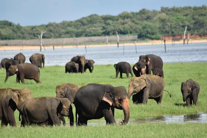 Private Jeep Safari To one of a Best National Park - Who this private jeep safari suits best