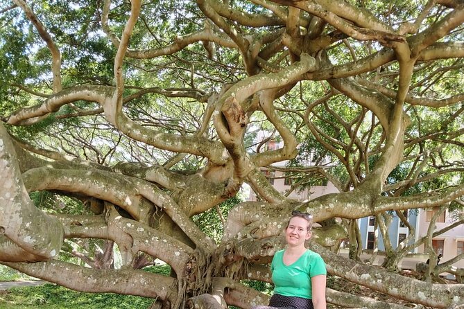 Private Kandy City Tour: Temple of the Tooth & Lake Highlights - Asgiriya Maha Viharaya and Nelligala: spiritual stops with different flavors