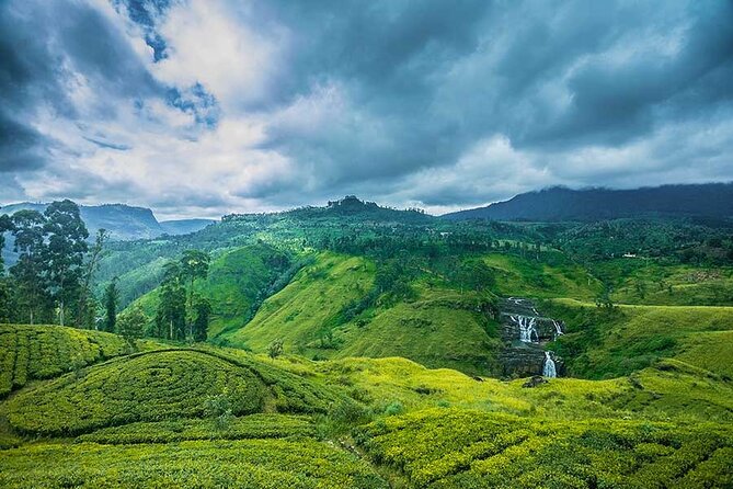 Private Multi-Day Outdoor Tour in Sri Lanka - Day 4 tea country and Kitulgala rafting on the same travel mindset