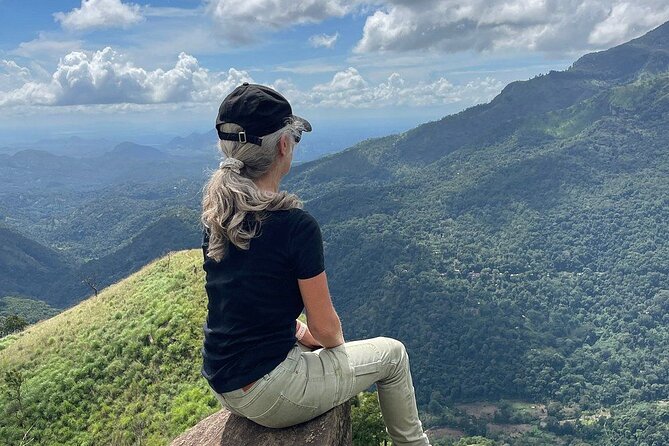 Private Multi Day Sri Lanka Tour with Chauffeur - Day 4 near Ella: Nine Arches Bridge, Mini Adams Peak, and tea tasting